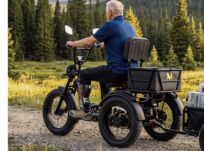 Rear trailer and cargo accessory