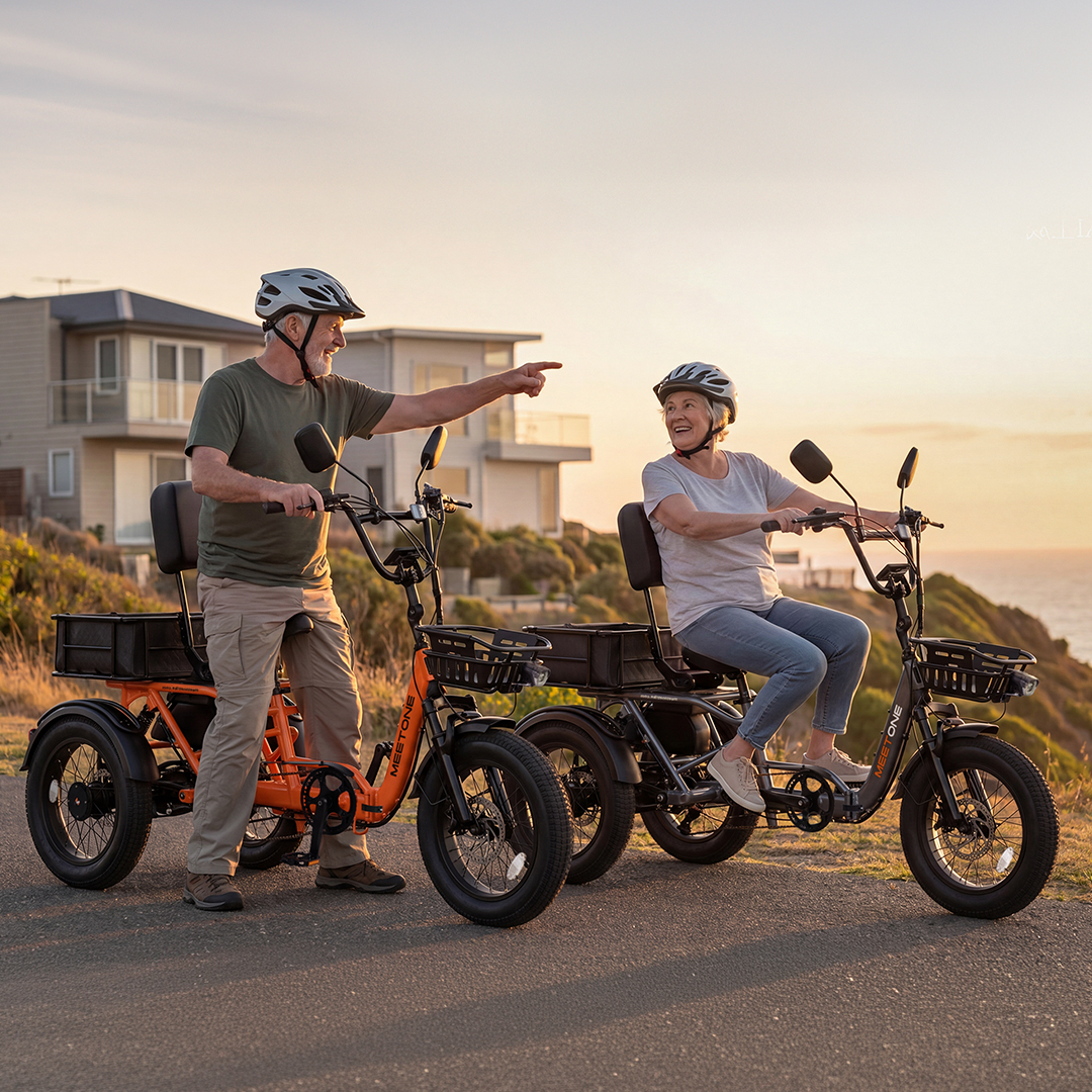 Breeze series electric trikes