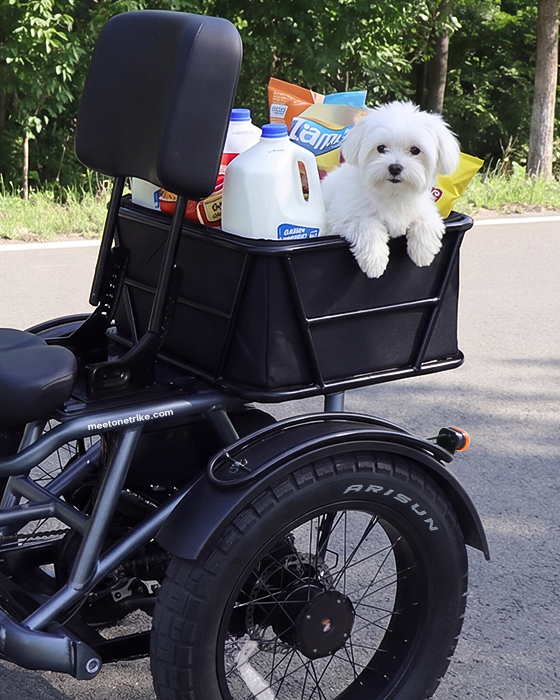 Rear basket and storage accessory