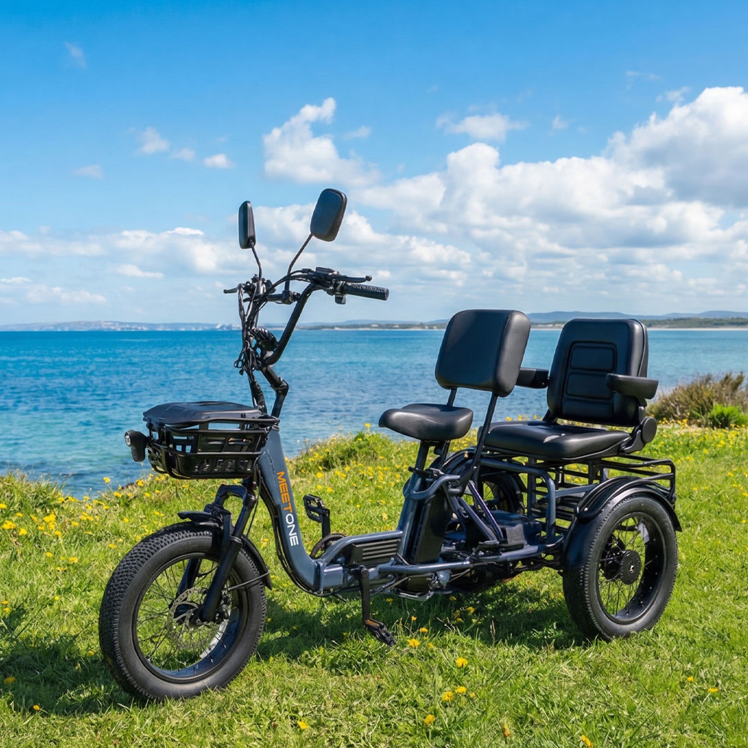 Pair series two-seat electric trike